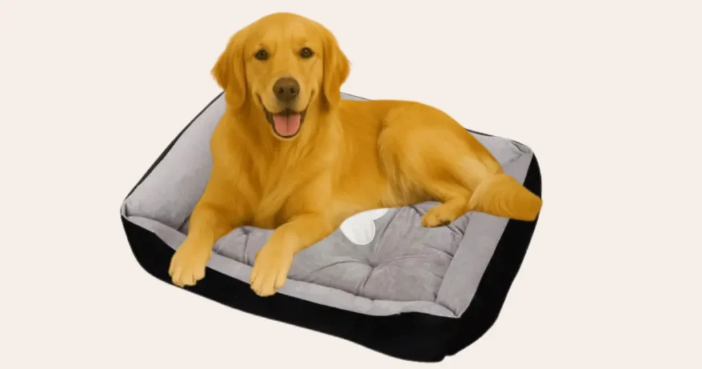 Dog Beds with the Highest Comfort Ratings