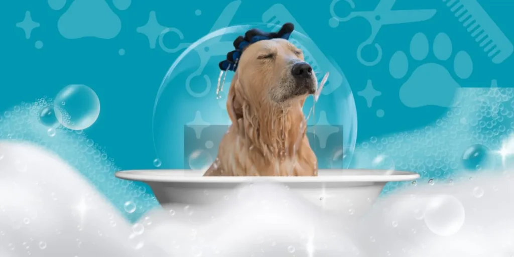 Golden Retriever Taking Bath