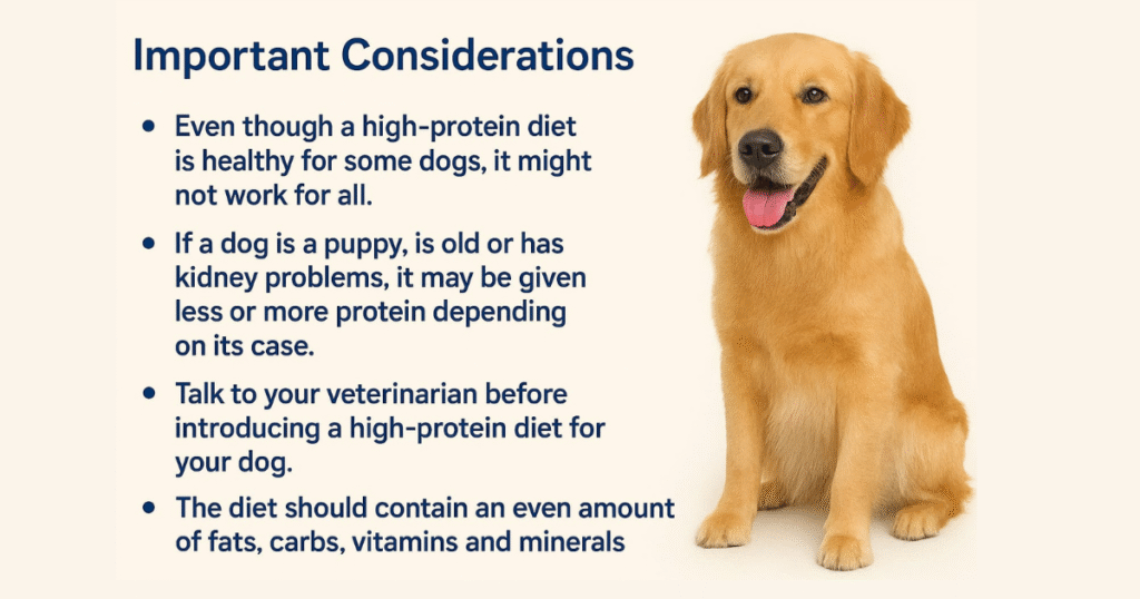 the best High-Protein Diet for Golden Retrievers