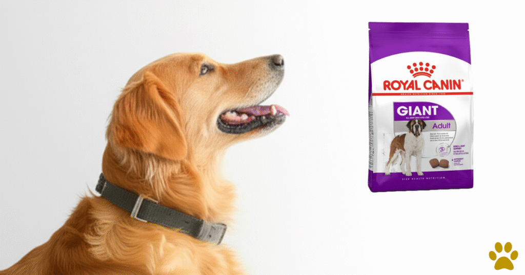 Royal Canin Best Golden Retriever Foods