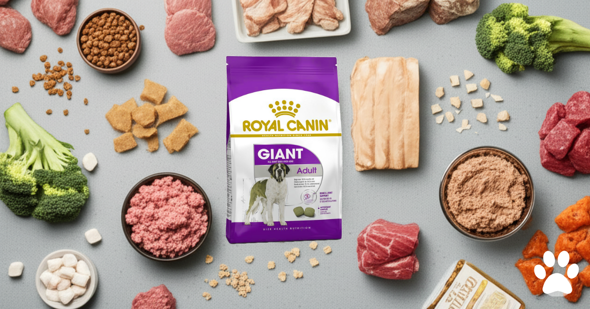 Best Golden Retriever Foods 2025