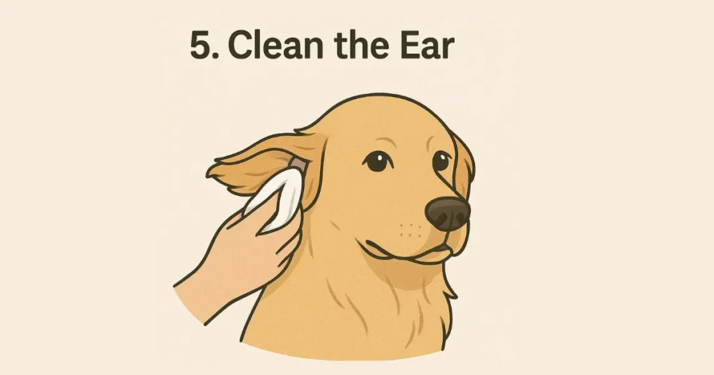 Clean the ears and reward your dog.