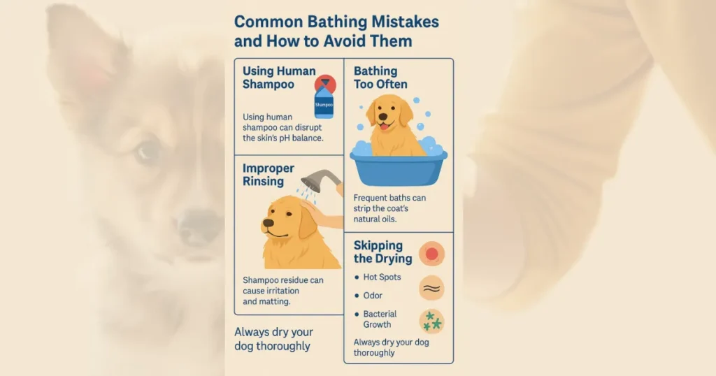 Common Bathroom Mistakes and How to Avoid Them