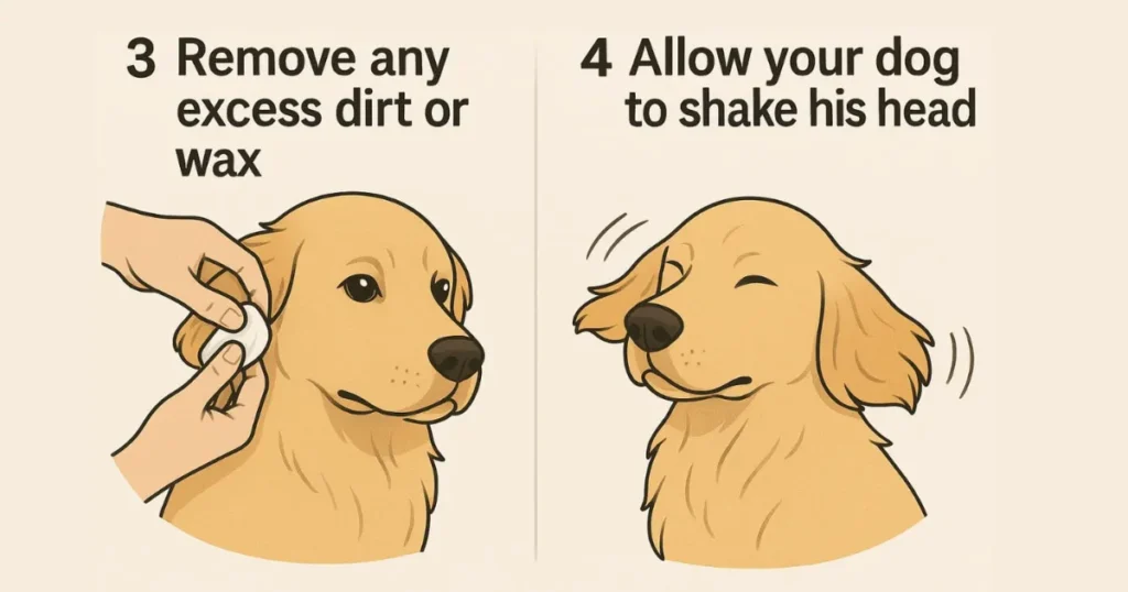 Remove any excess dirt or wax.