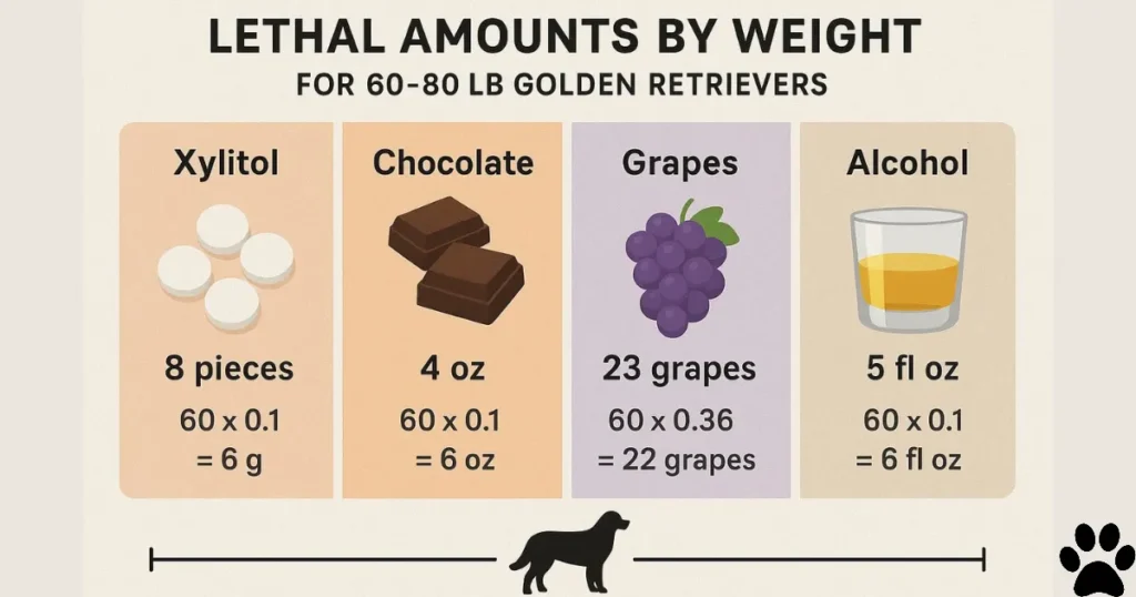 Dangerous Food for Dogs: Lethal Dose Calculations