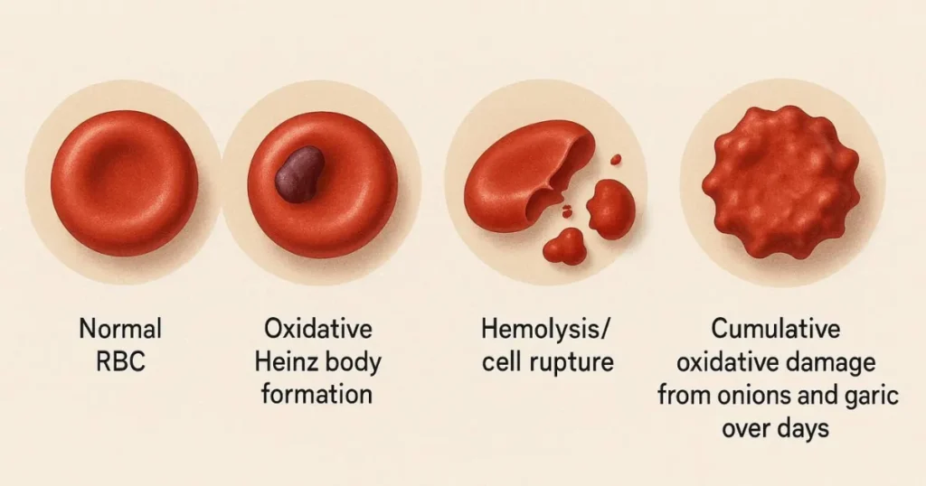 Foods Poison to Dogs: Hemolytic Toxins