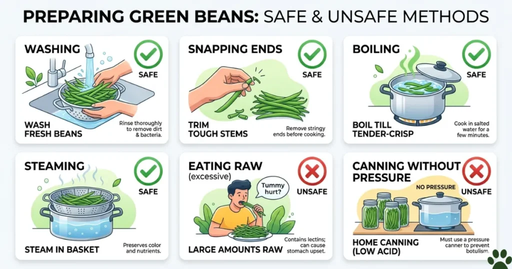 Can Dogs Have Green Beans: Preparation as meal