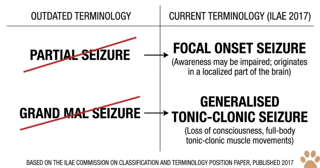 Canine Partial Seizures: Diagram showing canine partial seizures reclassified as focal onset seizures per IVETF 2015
