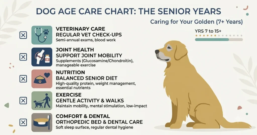 Dog 10 Years: Why dog age charts miss senior life-stage care for Goldens.