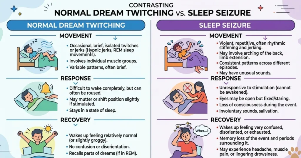 Dog Twitching in Sleep or Seizure: Infographic comparing a dog twitching in sleep or seizure across key signs.