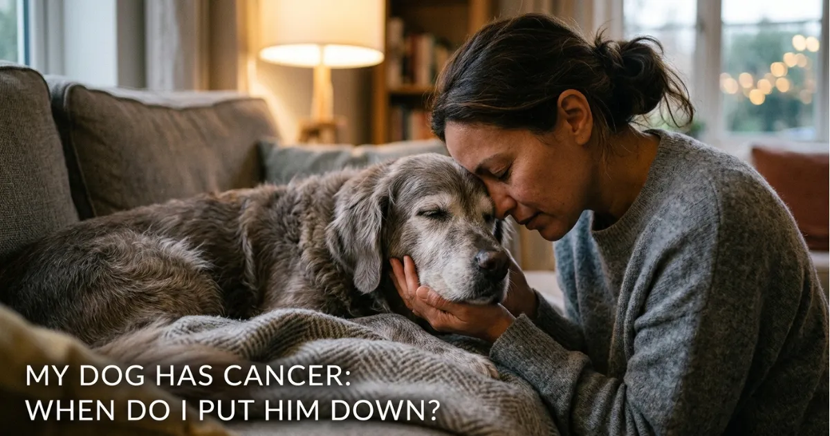 My Dog Has Cancer When Do I Put Him Down