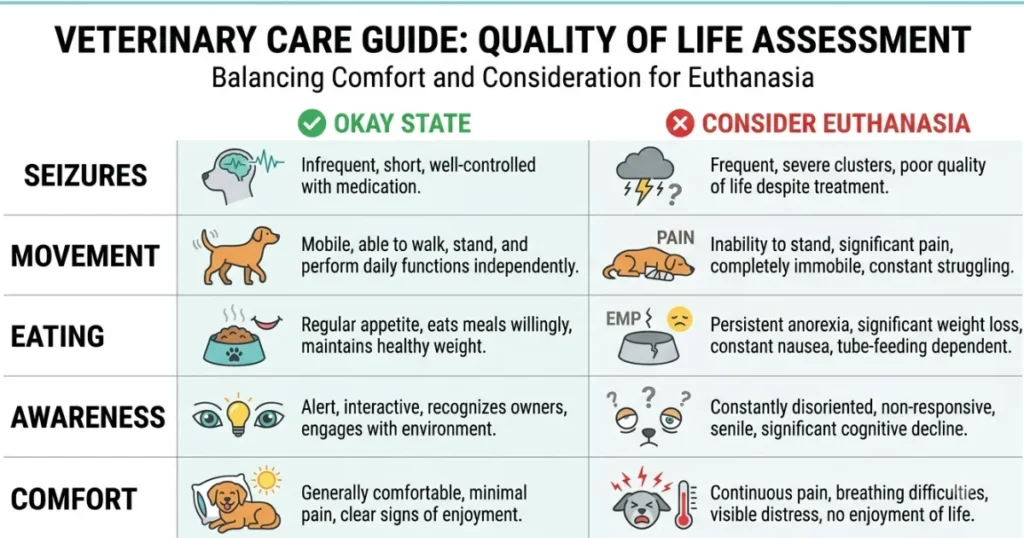Dog Brain Tumor When to Euthanize: Infographic of brain tumor quality of life signs for deciding when to euthanize a dog.