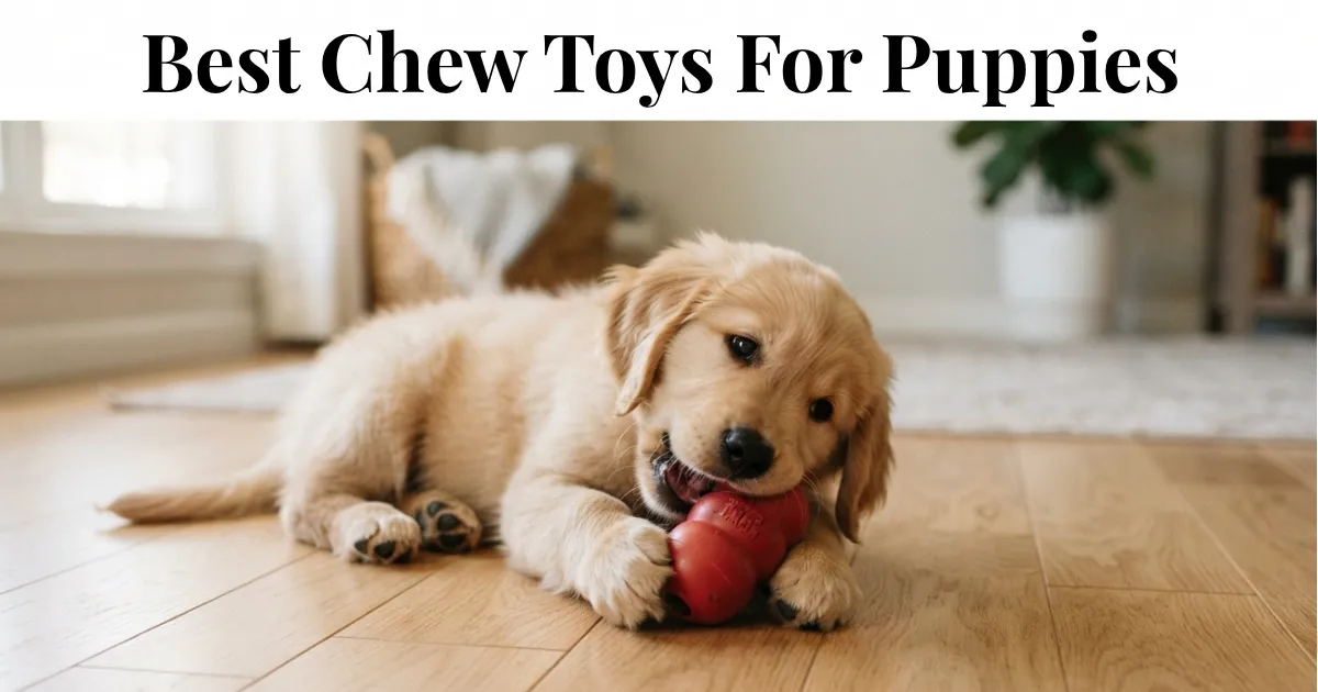 A golden retriever puppy contentedly chewing a durable rubber toy, its natural chewing instinct satisfied safely.