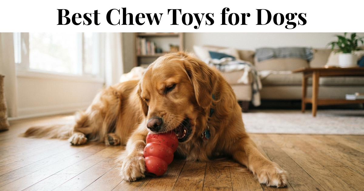 A strong adult golden retriever chewing hard on a durable rubber toy on a floor, powerful focused expression, bright home setting.